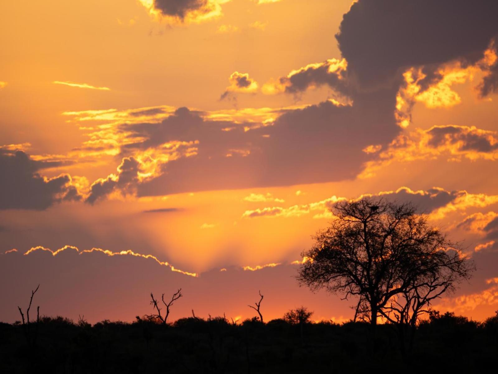 Grace Of Africa, Couples 5 Star Nature Lodge Marloth Park Esterno foto